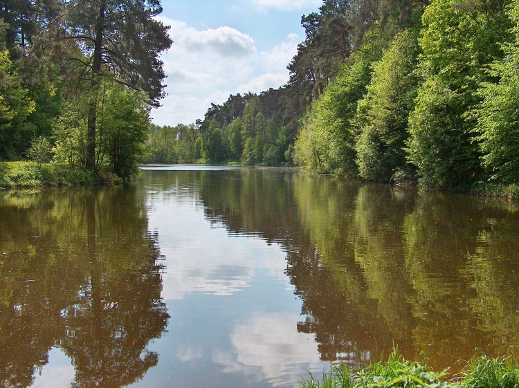 Zapraszamy do Garbatki-Letnisko nad zbiornik wodny „Polanka”