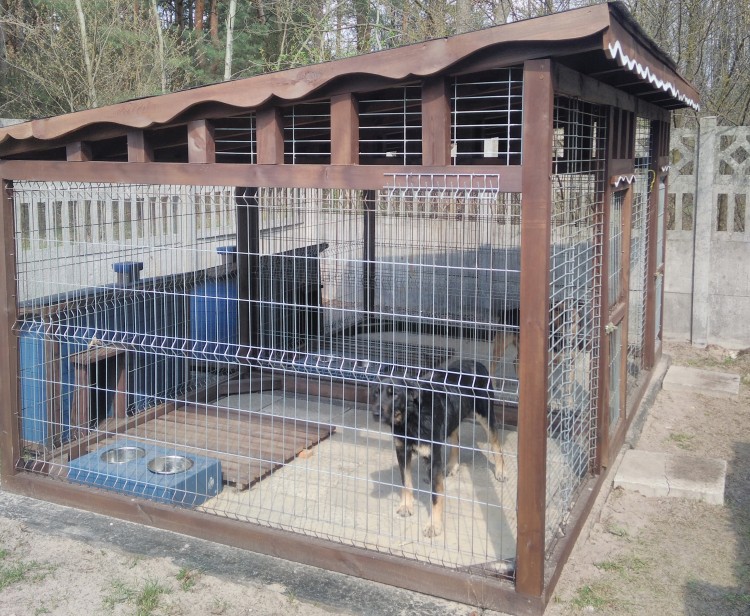 W Bąkowcu powstał „tymczasowy” dom dla bezdomnych zwierząt